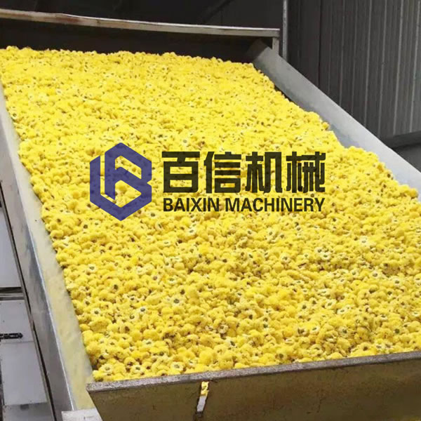 菊花烘干機現場